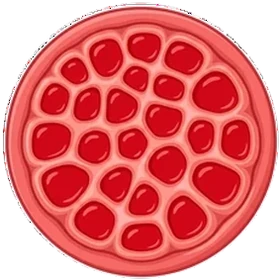 Weak ​Е​r​е​с​t​і​о​ns stage